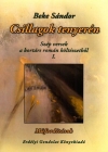 Beke Sándor: Csillagok tenyerén
